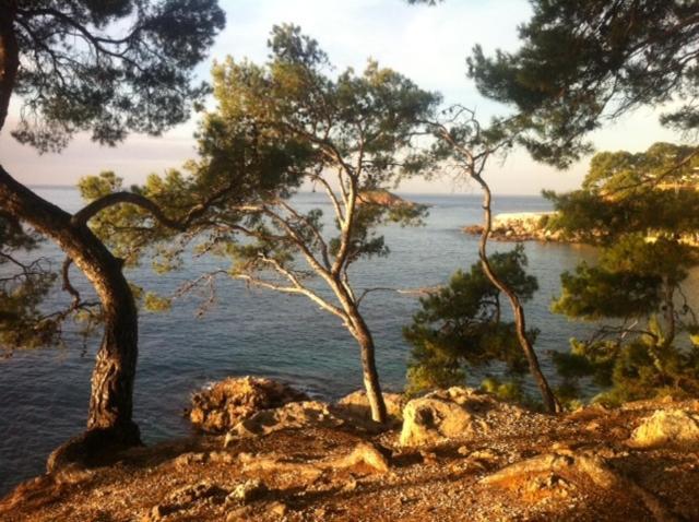 Le Hameau De La Crique De L'Anglaise Bandol Exterior foto